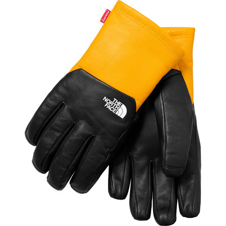 Supreme x North Face Leather Gloves